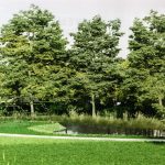Wegelpark groene omgeving eeklo huis te huur-1620